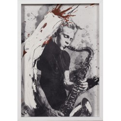 Colección Franklin (6 uds)