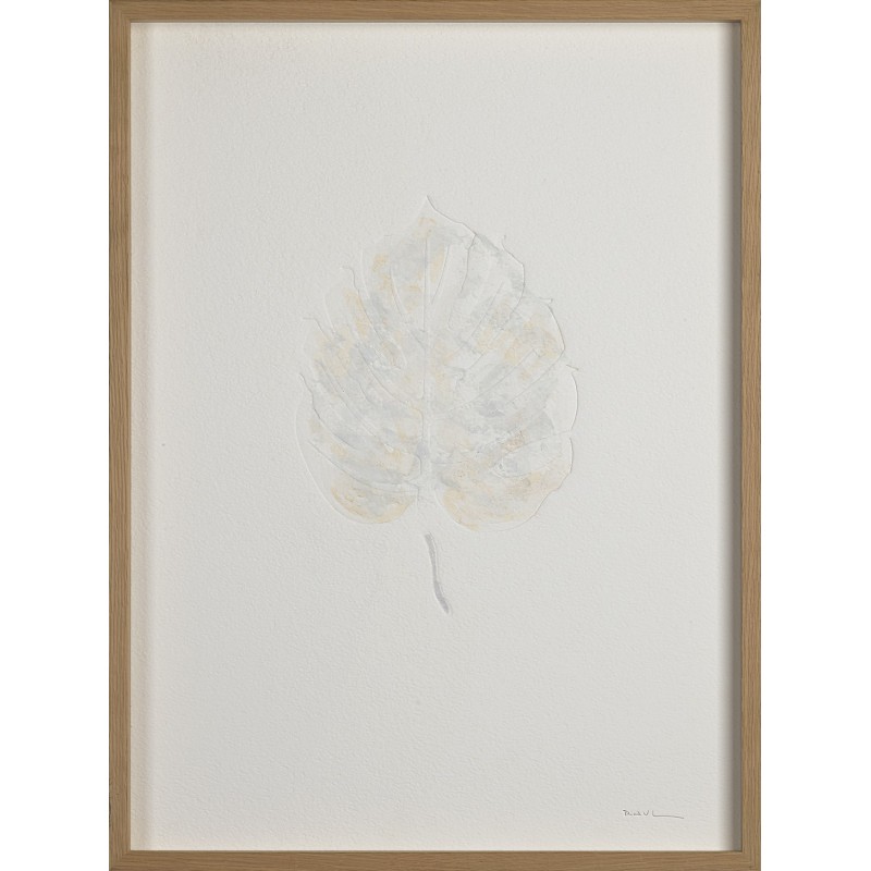 Monstera I