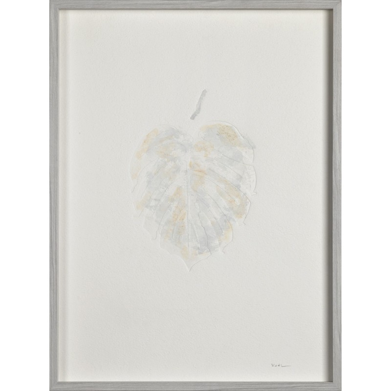 Monstera II