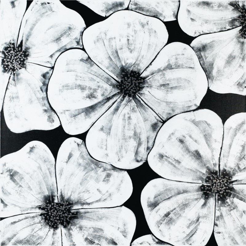 Black Poppy