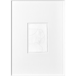 Cotton 01