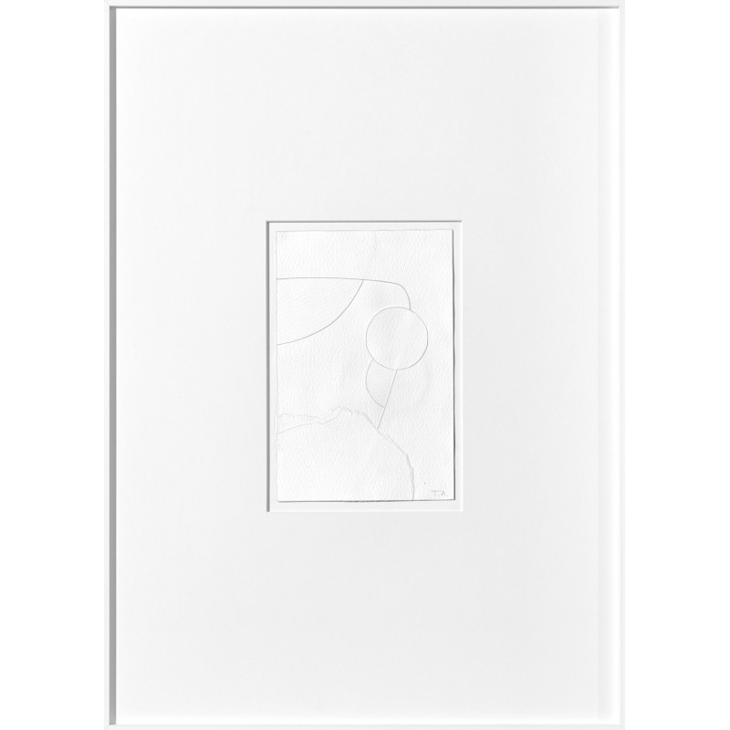 Cotton 01