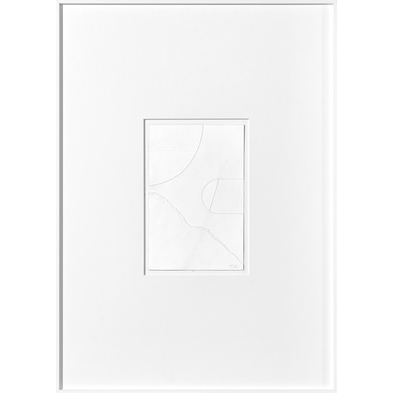 Cotton 02