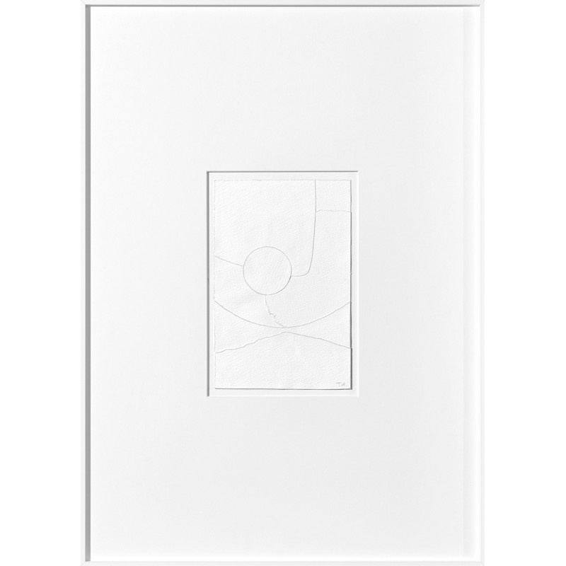 Cotton 03