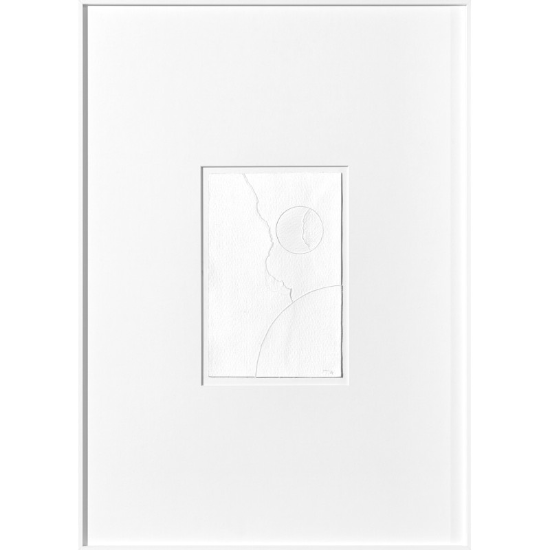 Cotton 04
