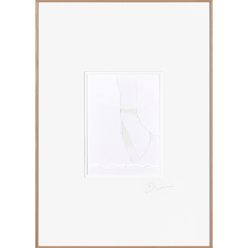 Silk Cotton 05