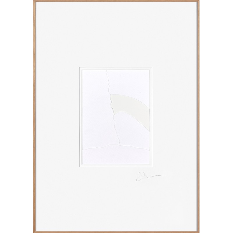 Silk Cotton 06